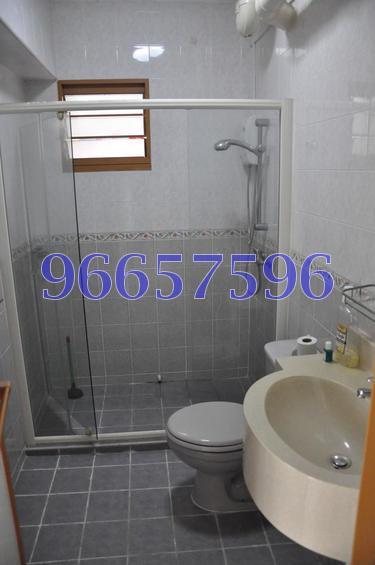 Blk 313C Anchorvale Road (Sengkang), HDB 5 Rooms #124650392